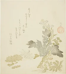 Un radis géant (daikon), chrysanthèmes et fougères