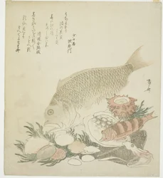 Poissons et coquillages