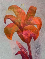 Lys orange vif
