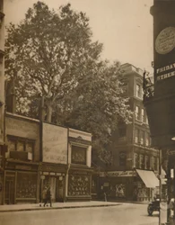 Un habitant favorisé de la ville : le platane à Cheapside, vers 1935