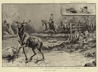 Le cirque de Wulff au Crystal Palace, la chasse au cerf