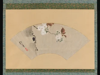Fleurs de cerisier