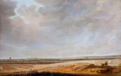 Paysage aux champs de maïs