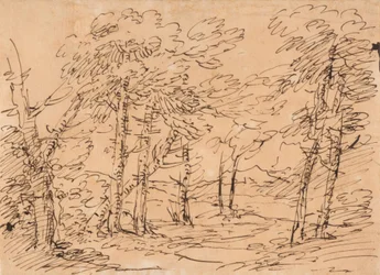 Paysage avec des arbres et des montagnes à l