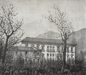 Collège d