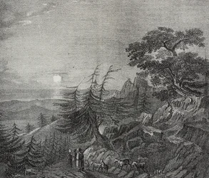 Paysage de la forêt de cèdres sur le mont Liban, près de Beyrouth, Liban, lithographie de Salvatore Puglia de Poliorama Pittoresco, n°11, 22 octobre
