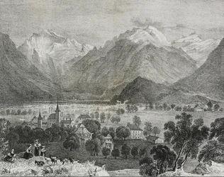 Vue d