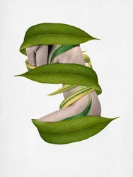 Un corps enveloppé par la nature