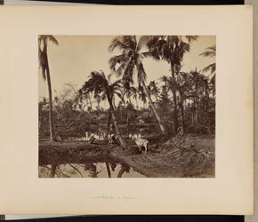 Calcutta ; Scènes rustiques et vie rurale au Bengale