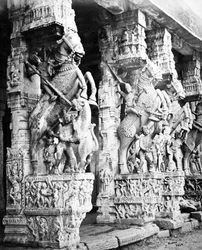 Piliers de chevaux sculptés dans le temple de Ranganatha, Srirangam, 1869
