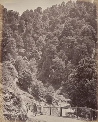 Shimla. Vue vers le nord du mont Jakko