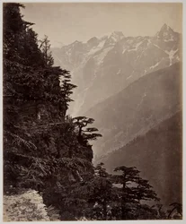 Sans titre