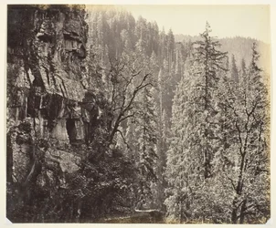 Sans titre [falaises et arbres], vers 1865