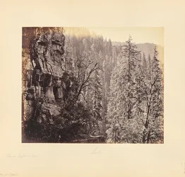 Vue dans la forêt de Narkunda