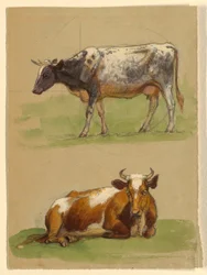 Dessin, Bovins, une vache marchant et une vache accroupie, 1875-80
