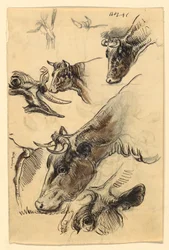 Dessin, Esquisses. Bétail, Irvington, septembre 1876