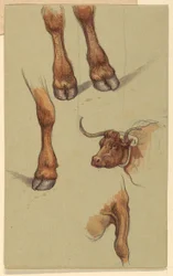 Dessin, Croquis de Narragensett, Rhode Island, 1871