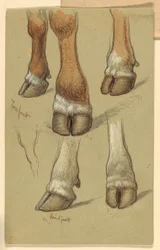 Dessin, Études d