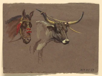 Dessin, études d