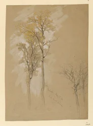 Chênes, Lady Wood Lane, Irvington