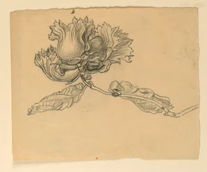 Étude pour illustration : Noisettes