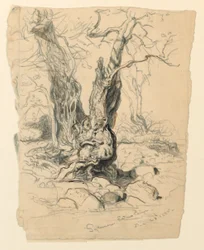 Étude de Sycomore