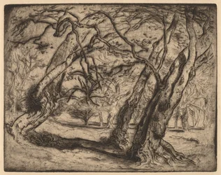 Sans titre (Paysage boisé)