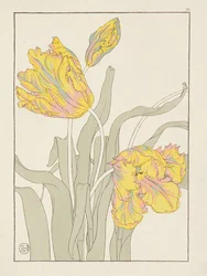 Un Bosjeman, une Bosjeswoman, une femme Booshuana, un homme Booshuana : quatre vignettes de tête et d
