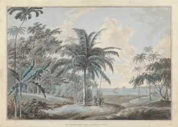 Près de la pointe Eucheconing, Java