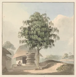 Saint homme assis près d