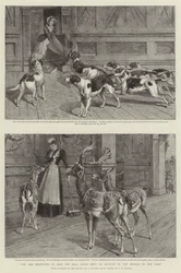 Vous êtes prié de garder les portes du hall fermées à cause des animaux dans le parc