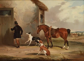 Coursing : Retour