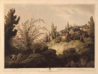 Chasser un tigre hors de la jungle, de "Sports de plein air orientaux", publié par Edward Orme