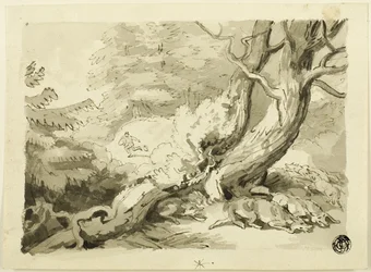 Chasse au renard