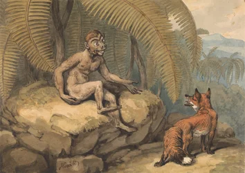 Un singe et un renard
