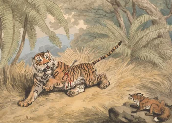 Un tigre transpercé par une flèche