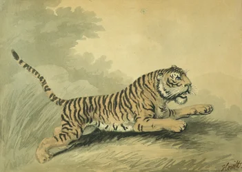 Une tigresse bondissant vers la droite, 1807
