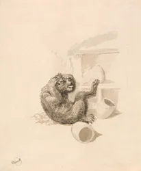 Ours et ruches