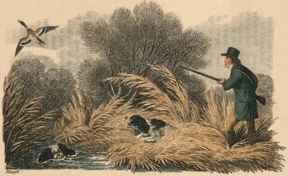 Chasse au canard, 1810