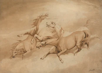 Quatre chevaux au galop