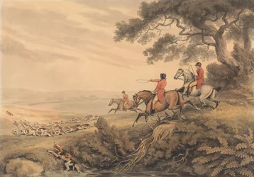 Chasse au renard : la poursuite