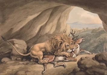 Lion attaquant un cerf
