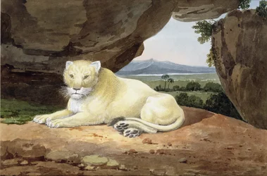 Lionne