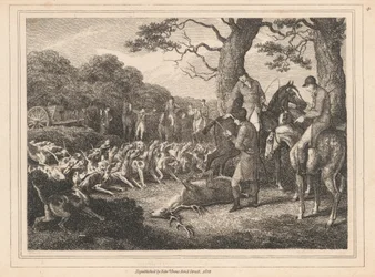 Chasse au cerf