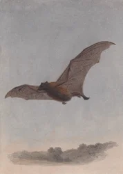 Étude d