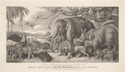 Pris sur le vif, parmi la nombreuse assemblée de la ménagerie royale, Exeter Exchange, Strand, Londres
