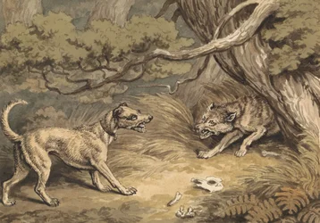 Le chien et le loup