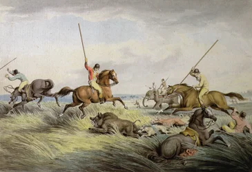 La Chasse au Sanglier - La Mise à Mort, de 