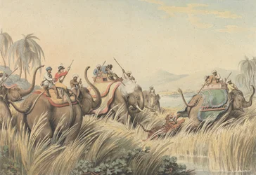 Le tigre acculé : une illustration pour « Oriental Field Sports » du capitaine Thomas Williamson