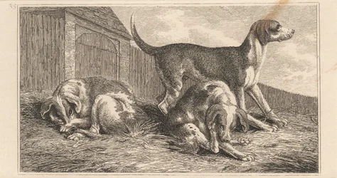 Trois chiens